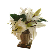 Rustic Lily